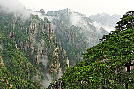 一喷就昏睡三个小时的药C1B8D97C5-18975